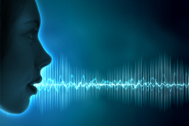 "PASOS PARA EL RECONOCIMIENTOS DE LA VOZ"