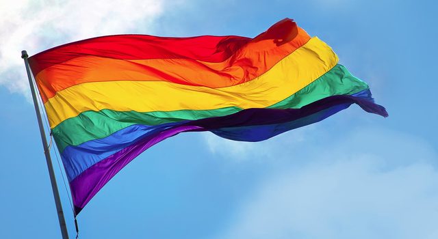 Williams Institute begins investigations