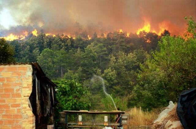 Incendio en La Rufina (Chile, 1999)
