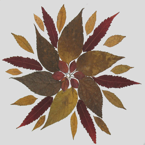 Komposztbulik a Galgamentén