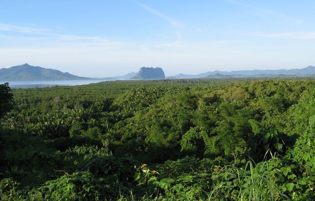 La recuperación forestal de Filipinas