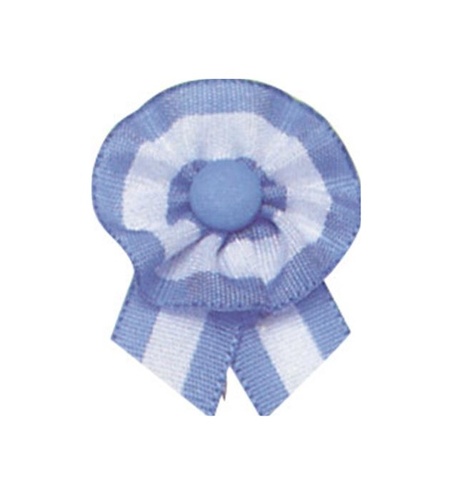 creación de la Escarapela Nacional