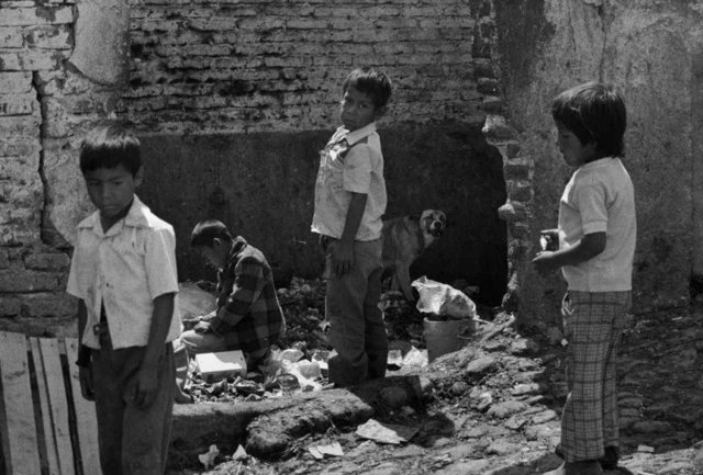 Comienza la crisis económica