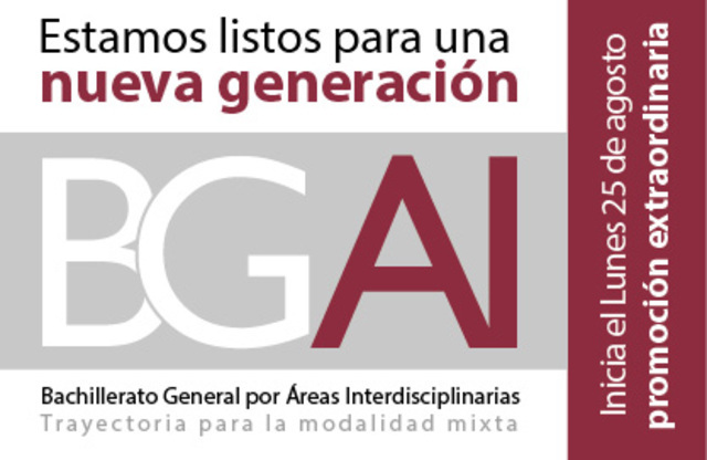 RESPONSABILIDADES DEL ASESOR