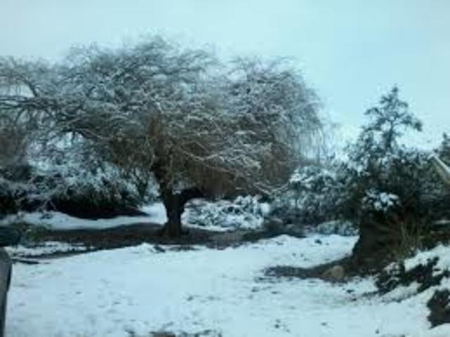 Nieve paraliza los labores en Potrerillos