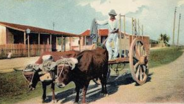 Transporte con arrastre y rueda