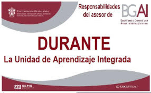 Responsabilidades del asesor durante la UAI