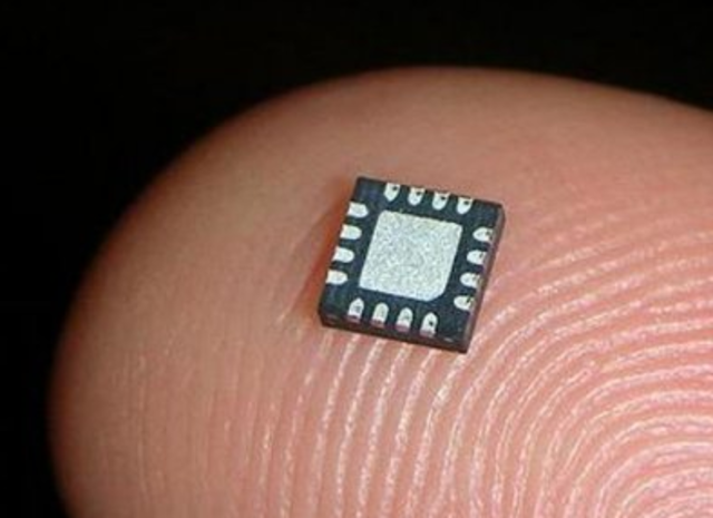 El Microchip