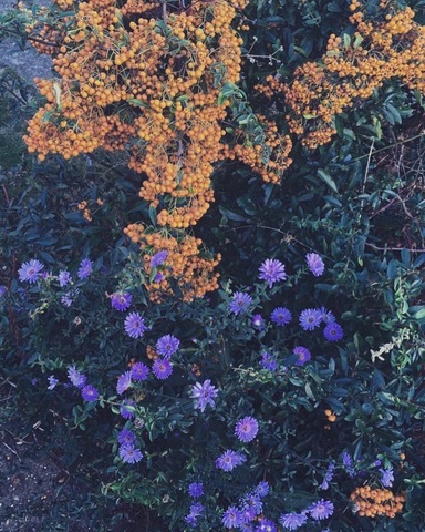 Poetic documentaries