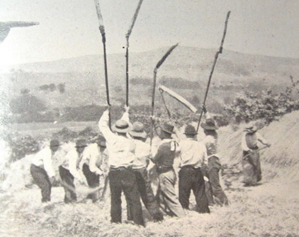 Lei de redención dos foros.