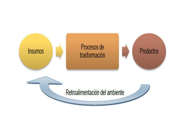Enfoque contemporáneo de la administración