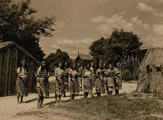 Model pa developed at Whakarewarewa