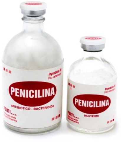 penicilina