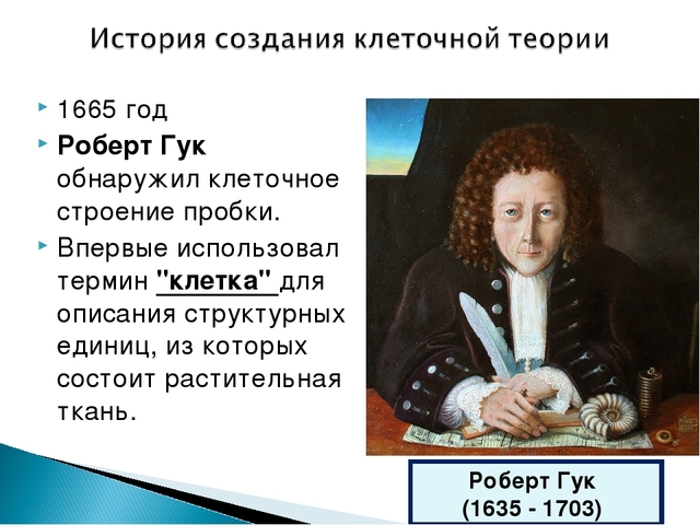 Клеточная структура тканей