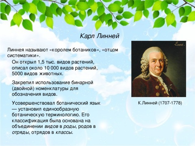 Систематика К. Линнея