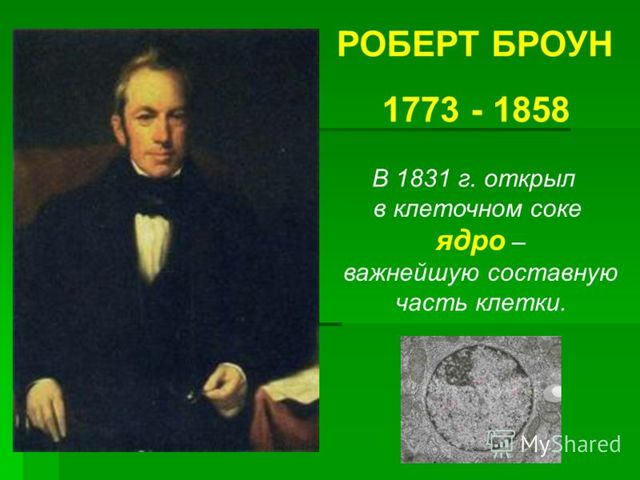 Открытие клеточного ядра