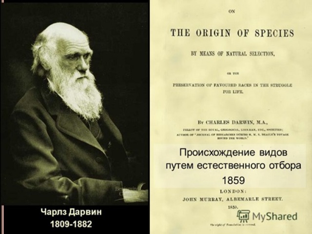 Теория эволюции Ч. Дарвина