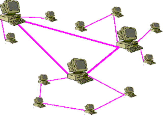 evolución de los sistemas