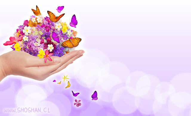 Convención Internacional sobre la eliminación de todas las formas de Discriminación en la Mujer