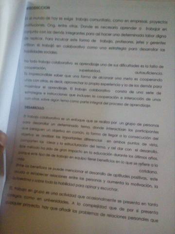 TUTORIA N°3: ENSAYO