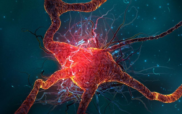 Когнитивная