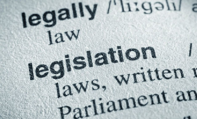 Allen Government Representatives are selected by citizens