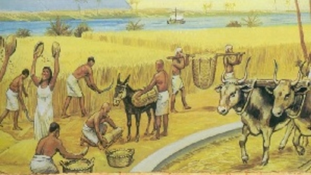 Inicio da civilização e da ciência