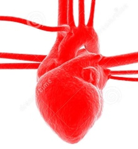 Revolução na Medicina - Mecânica do Coração e do Sangue