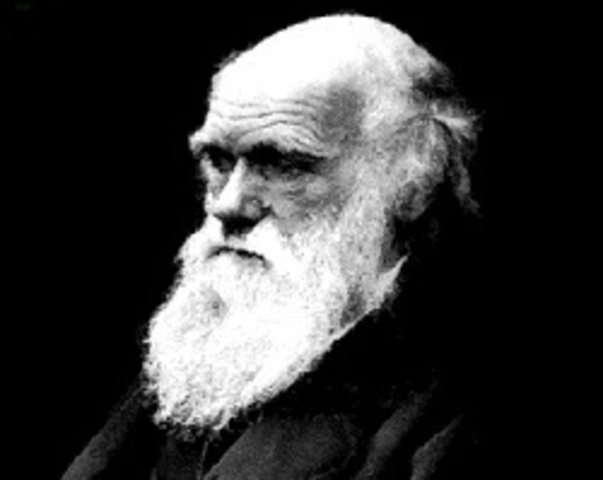 Teoria da Evolução - Seleção Natural