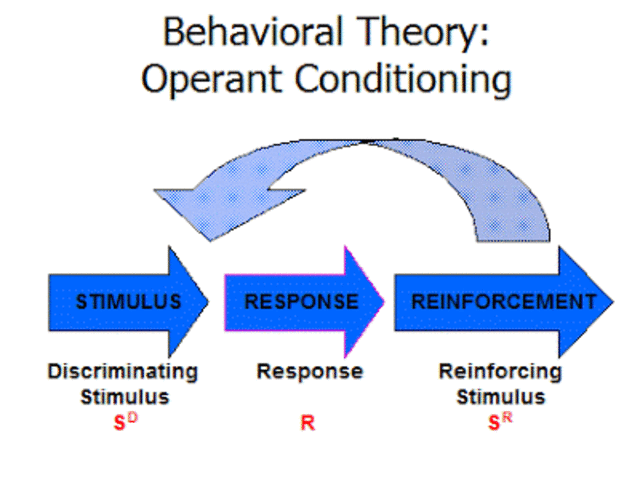 Behavioral  Learning Theory