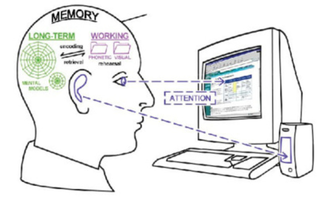 Cognitive Information Processing Theory