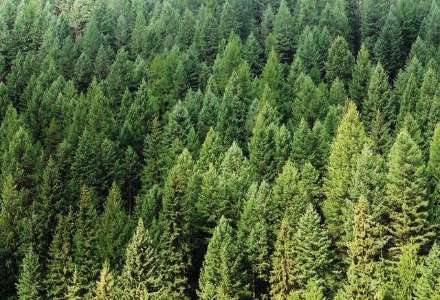 First Commercial Cellulosic Ethanol Plant Goes Into Production in Wyoming