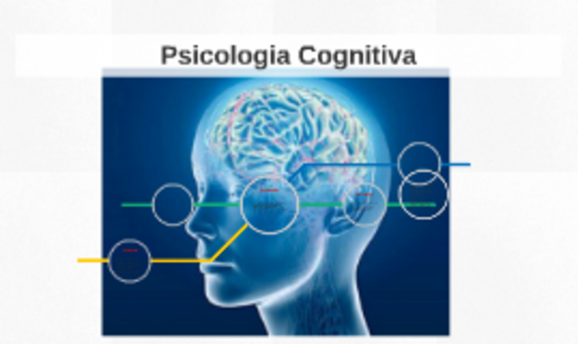 APRENDIZAJE SIGNIFICATIVO  Pozo  (1989)