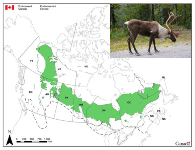 Canadian Wildlife Act