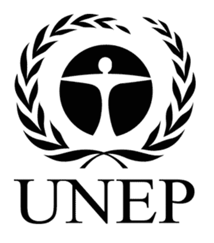 8 Diversity United Nations Environment Programmes (UNEP)