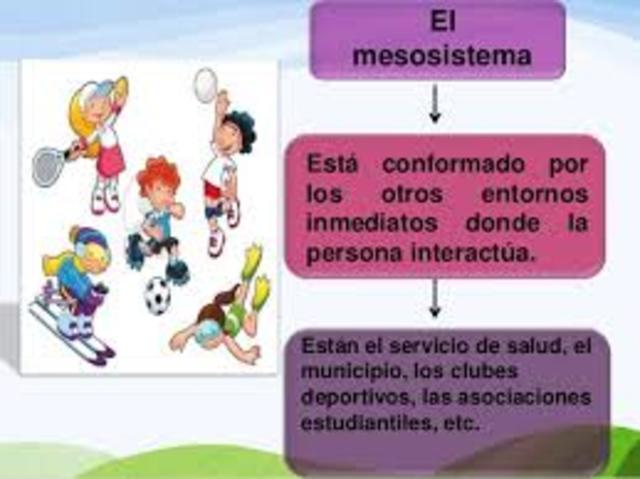 El mesosistema
