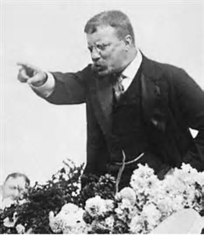 PRESIDENT THEODORE ROOSEVELT - 1901