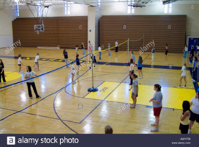 Volleyball in Curriculum