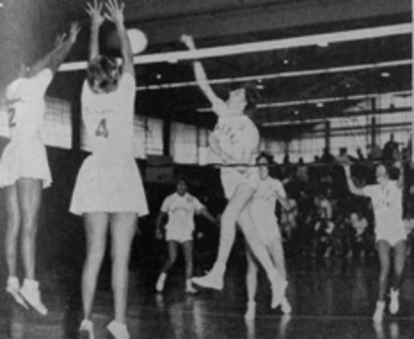 Volleyball in the Olympics