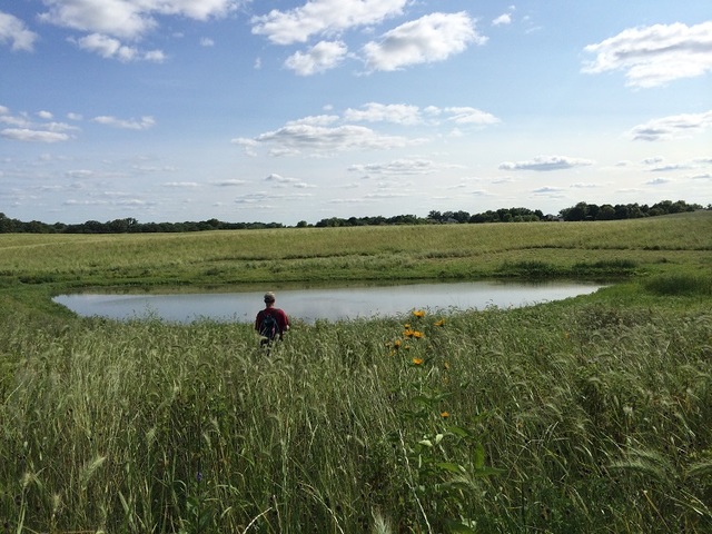 Six Mile Marsh Prairie Restoration