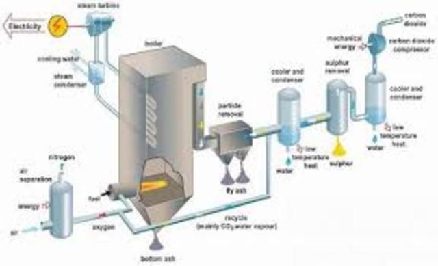 Helping The Environment