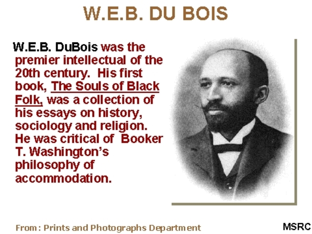 W.E.B Du, Bois