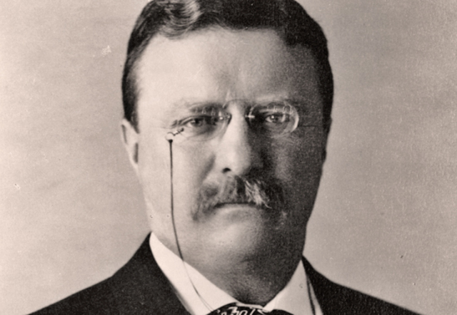 Trustbuster, Theodore Roosevelt