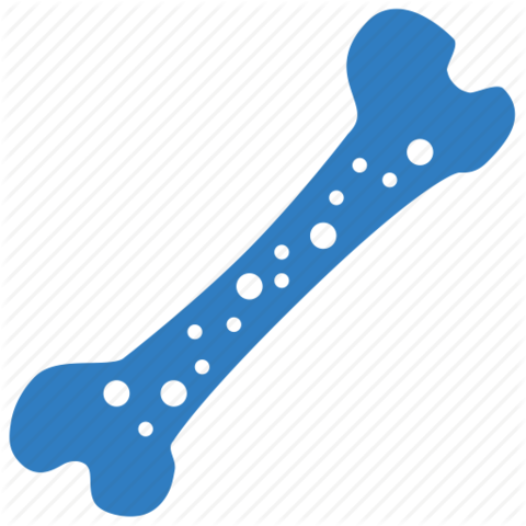 Physical Hobbies in the 50s