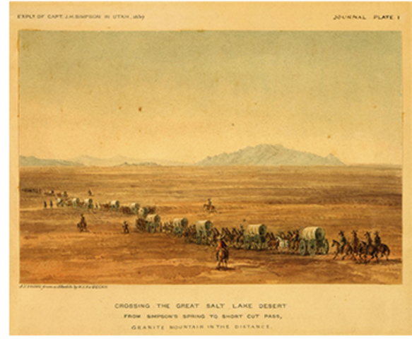 Horse Drawn Carriage