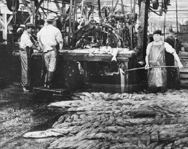 Chinese Exclusion Act