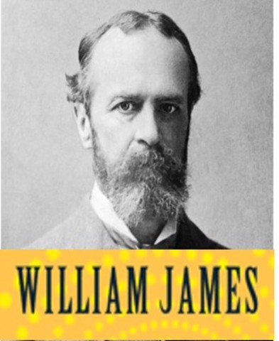 Teoría de la diferencia entre la emoción y el instinto.