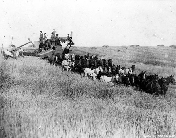 "Combine" or combined reaper-thresher