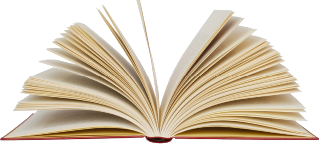 Inclusión en diccionario