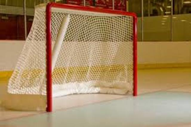 Goal Net